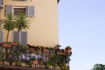 Fototapeta na wymiar Plants and flowers in a balcony (Spello, Umbria, Italy)