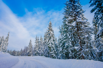 Beautiful outdoor view of winter road covered with heavy snow and ice in the forest