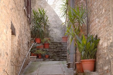 Fototapeta na wymiar Medieval alley with plants in vases (Spello, Umbria, Italy)