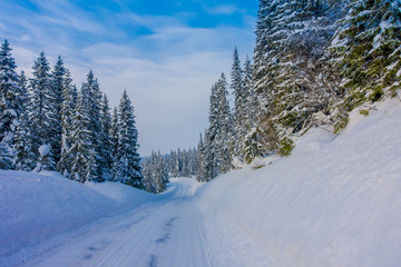 Outdoor view of winter road covered with heavy snow in pine tree in the forest