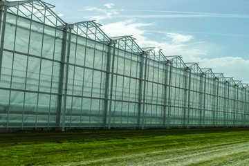 Obraz premium New empty big greenhouse, view outside with blue sky