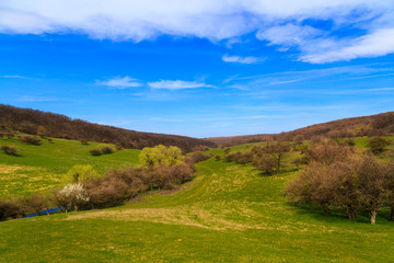 grassland valley