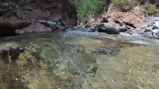 Traveler explores a mountain river. It moves up the river. He has in his hands an action camera with a stabilizer.