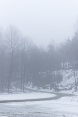 Road leading in to a forest, up a mountain. Misty, moody, day. Nackareservatet - nature reserve in Sweden.