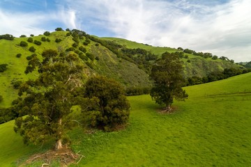 Sunol Brick Yard