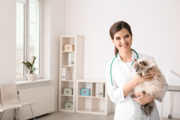 Young veterinarian holding cat in clinic