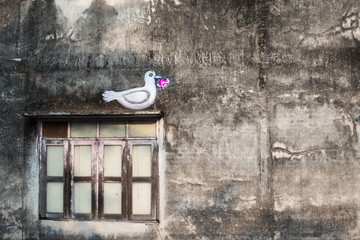 Conceptual graffiti on the grunge grey wall. White dove over the window with shutters. Purple flower in the beak of pigeon. Streetart in Thailand, Phuket.