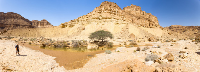 Beautiful desert oasis spring lake panorama view.