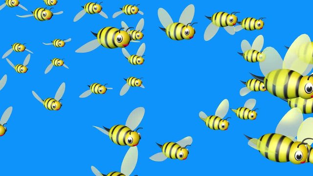 Bumblebee swarm. 3d animation. Side perspective view. Isolated on solid blue background