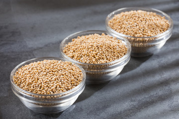 Yellow grain mustard - Sinapis alba