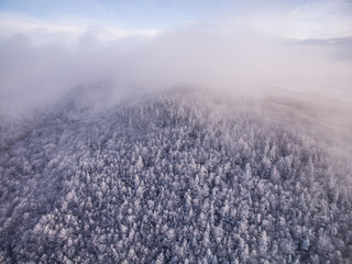Snowy Enchanted Forest- Antigonish, Nova Scotia