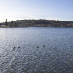 Natural enviroment of the german sorpesee