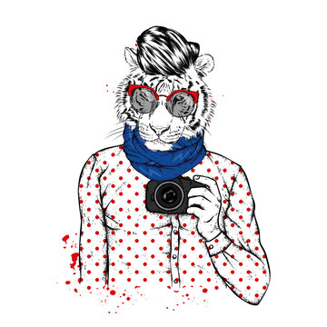 Hipster tiger with human body and camera. Animal in clothes. Vector illustration.