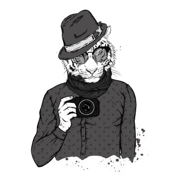 Hipster tiger with human body and camera. Animal in clothes. Vector illustration.