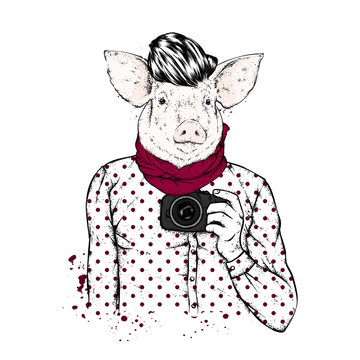 Hipster pig with human body and camera. Animal in clothes. Vector illustration.
