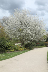 parc andré malraux