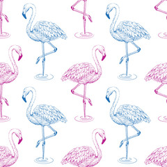 Naklejka premium Flamingo sketch seamless pattern