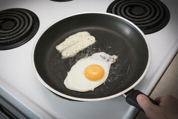 Fried Egg