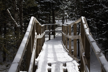 Bridge in the Adirondacks