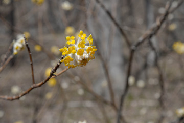 Obraz premium 201811