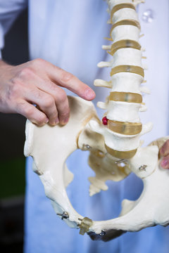 Physiotherapist pointing at spine model
