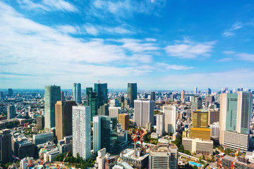 Fototapeta na wymiar Aerial view of the Tokyo skyline in the morning