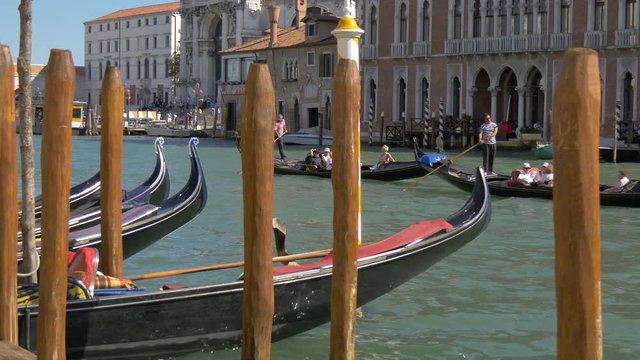 Rowing gondolas with tourists