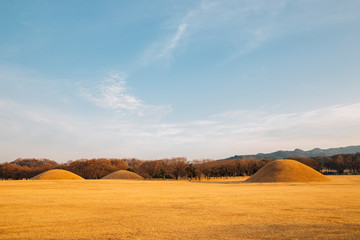 Fototapeta premium Inwang-dong tomb complex, ancient ruins in Gyeongju, Korea