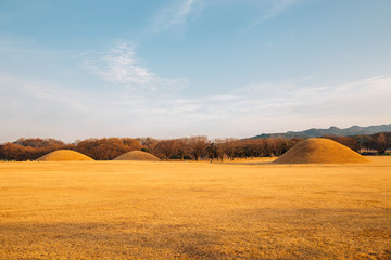 Obraz premium Inwang-dong tomb complex, ancient ruins in Gyeongju, Korea