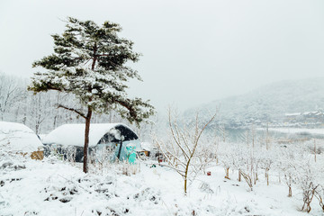 Snow-covered greenhouse and lake in winter