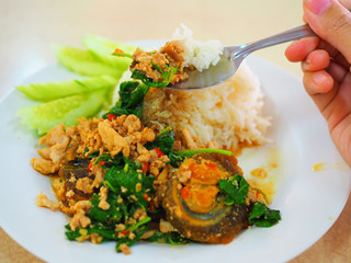 Perspective Thai local traditional stir fried spicy holy basil, ground pork, black preserved Century Egg (Kai Yieow Ma), white boiled Jasmine rice, fresh cucumber, hand holding spoon scooping,  eating