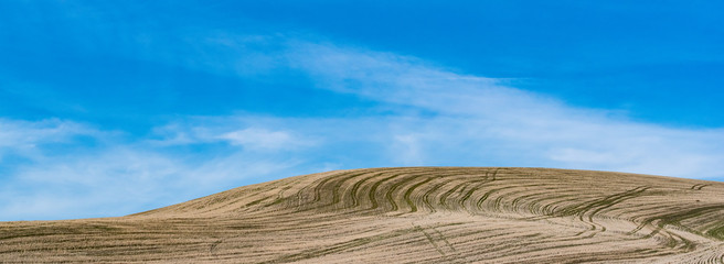 Fallow wheat field in central Oregon under a bright blue sky