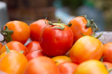 many fresh tomatoes  for cooking