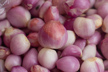 many shollots on table for cooking