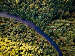 River cutting through forest - 200192088