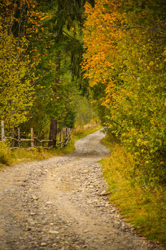 Autumn scenery landscape with colorful forest, wood fence and rural road in Prisaca Dornei, Suceava County, Bucovina, Romania	