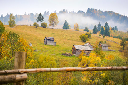 Autumn scenery landscape with colorful forest, wood fence and hay barns in Prisaca Dornei, Suceava County, Bucovina, Romania	