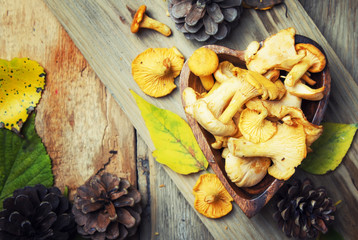 Forest mushrooms chanterelle in a bowl, rustic style, vintage wooden background, top view
