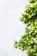 Green hop cones with leaves on gray background, top view