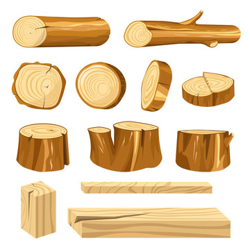 Long logs, polished planks and short stumps set