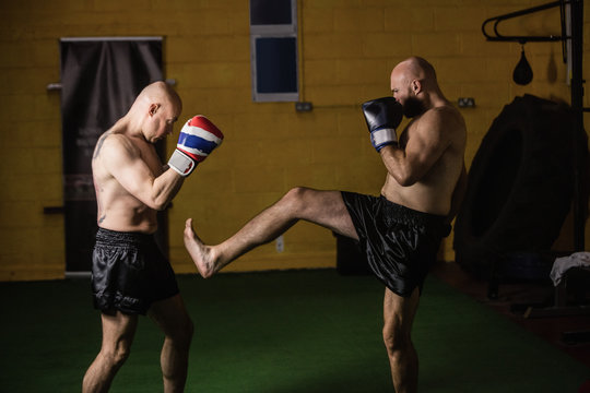 Kick Boxing Box Kick-Boxer-Bilder: Stock-Fotos & -Videos. | Adobe Stock