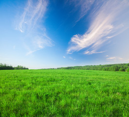 Green hill under blue cloudy sky whit sun