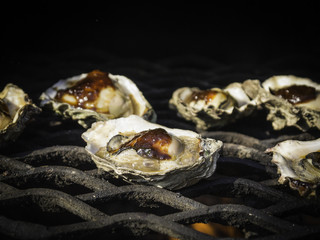 Oysters