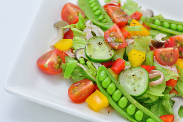 野菜サラダ