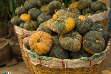 Wagon of Autumn Carving Pumpkins for Sale at Pumpkin Patch