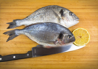 Two dorado fishes with lemon and knife on bamboo, gilt-head bream
