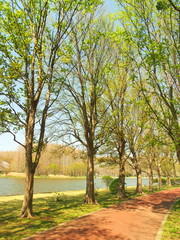 春のみさと公園風景