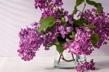 Still life with lilac
