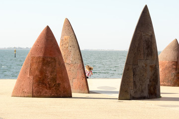 Geelong fins windblown