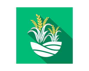 paddy nature field icon